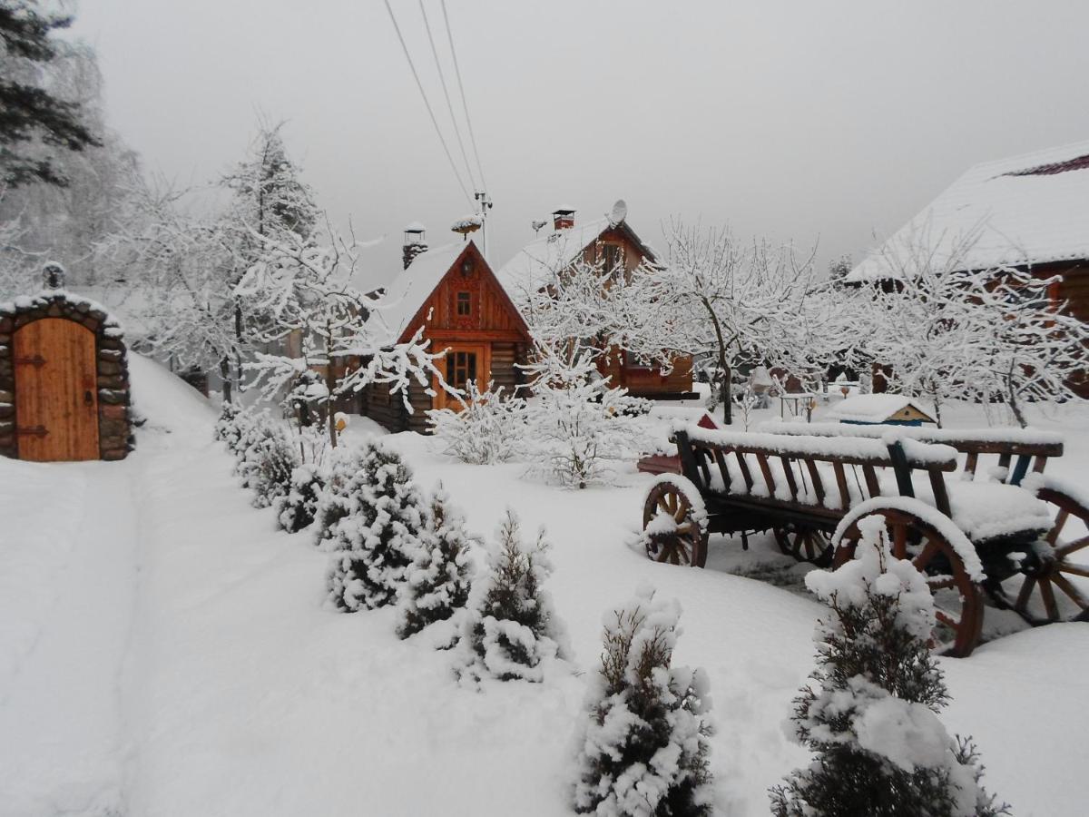 Agrousad'Ba Okolitsa Hotel Shchibri Exterior photo